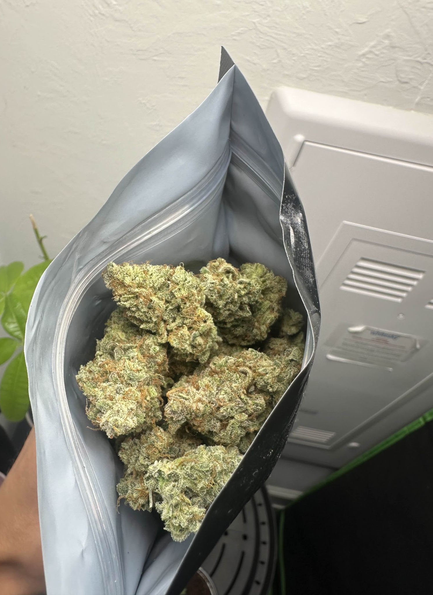 Open bag of dried 91 Cherries flowers