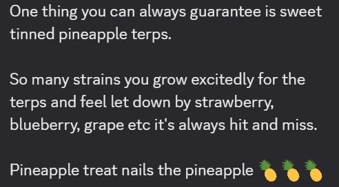 Anonymized community review describing Pineapple Treat's pineapple terps